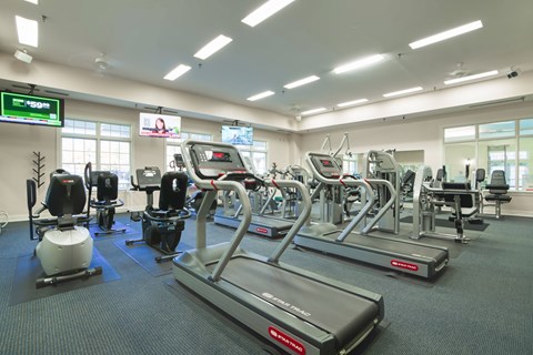 a gym with various cardio machines and other workout equipment