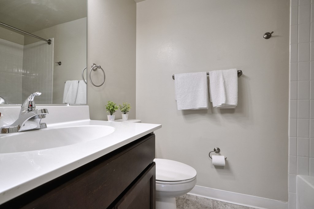 a bathroom with a sink and a toilet and a mirror