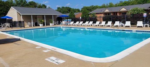 A large swimming pool with a white line on the ground that says "NO DIVING".