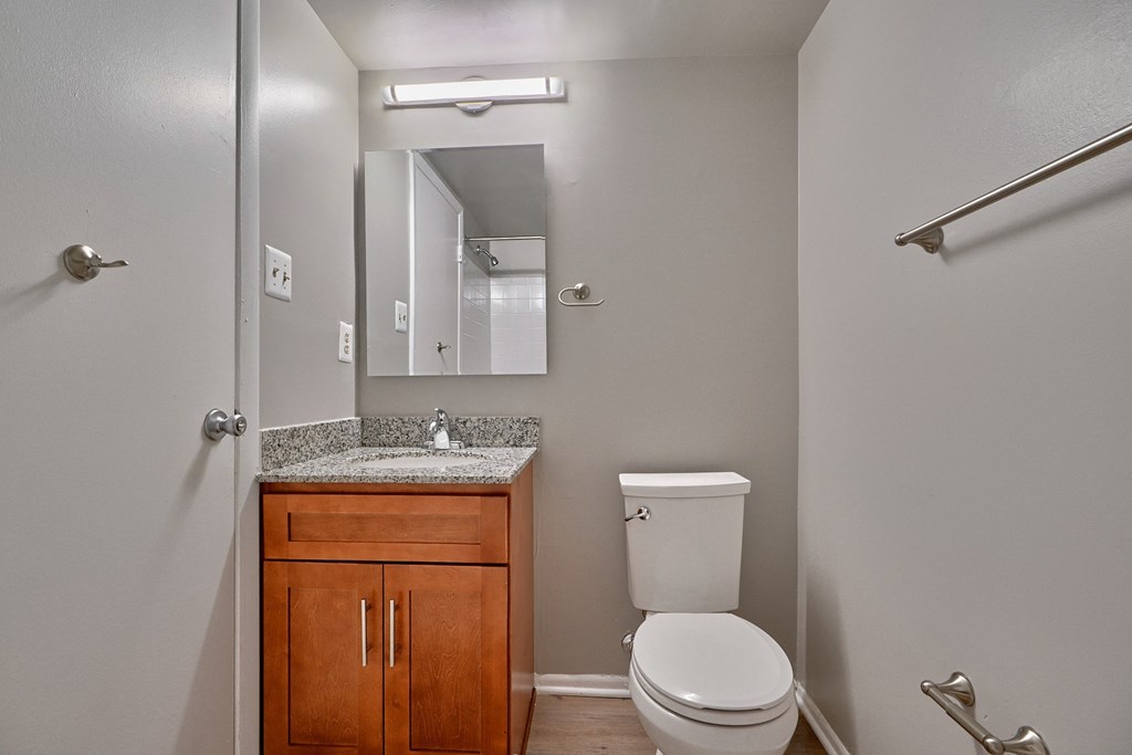 bathroom with a sink toilet and mirror