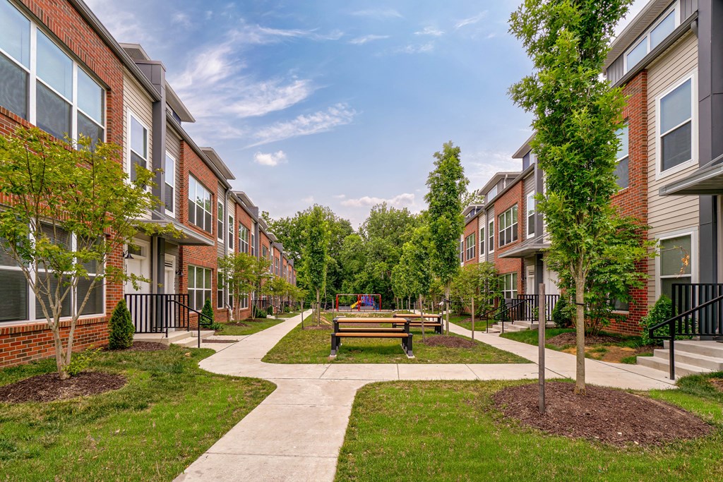 A park area with a bench and a tree in the middle of a pathway between apartment buildings.