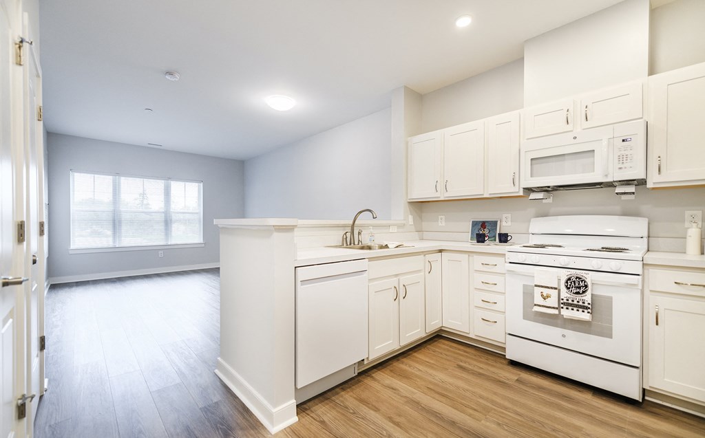 Kitchen and Living space