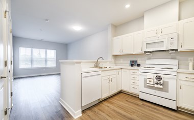 Kitchen and Living space