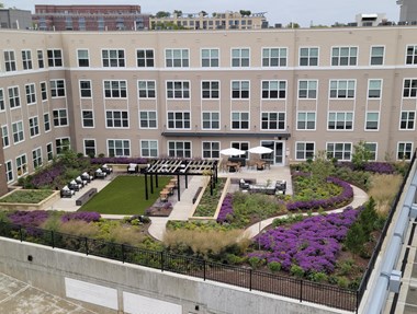 outdoor courtyard landscaping