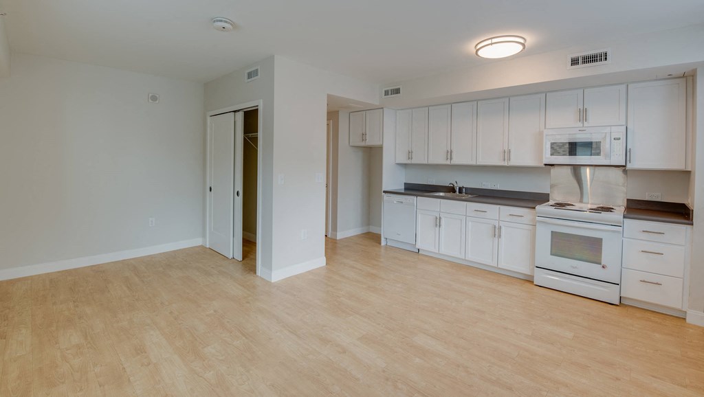 studio interior with kitchen and closet space