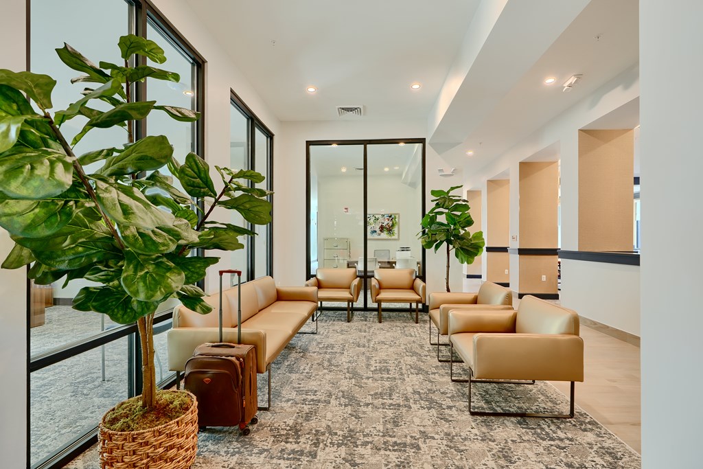 Now leasing senior 1-bedrooms in Baltimore, MD. A room with a large window, a couch, and a potted plant.