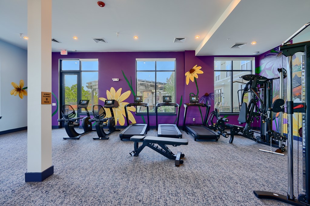 Now leasing senior 1-bedrooms in Baltimore, MD. A gym with purple walls and a variety of exercise equipment.