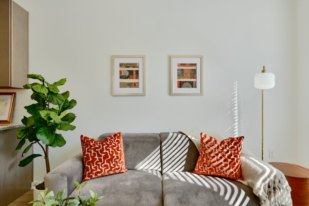 Now leasing senior 1-bedrooms in Baltimore, MD. A grey couch with two orange pillows and a grey and white striped blanket.