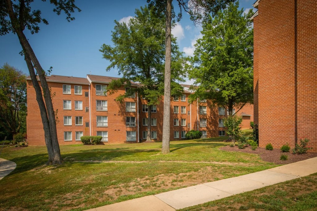 our apartments offer a spacious courtyard with trees and grass
