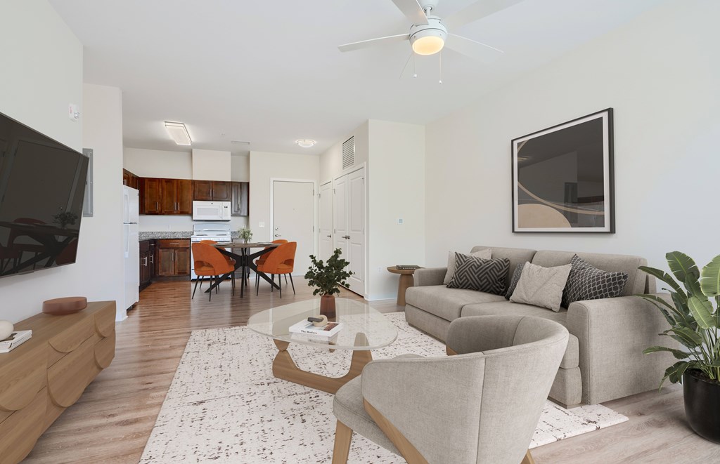 A living room with a grey couch, a coffee table, and a television.