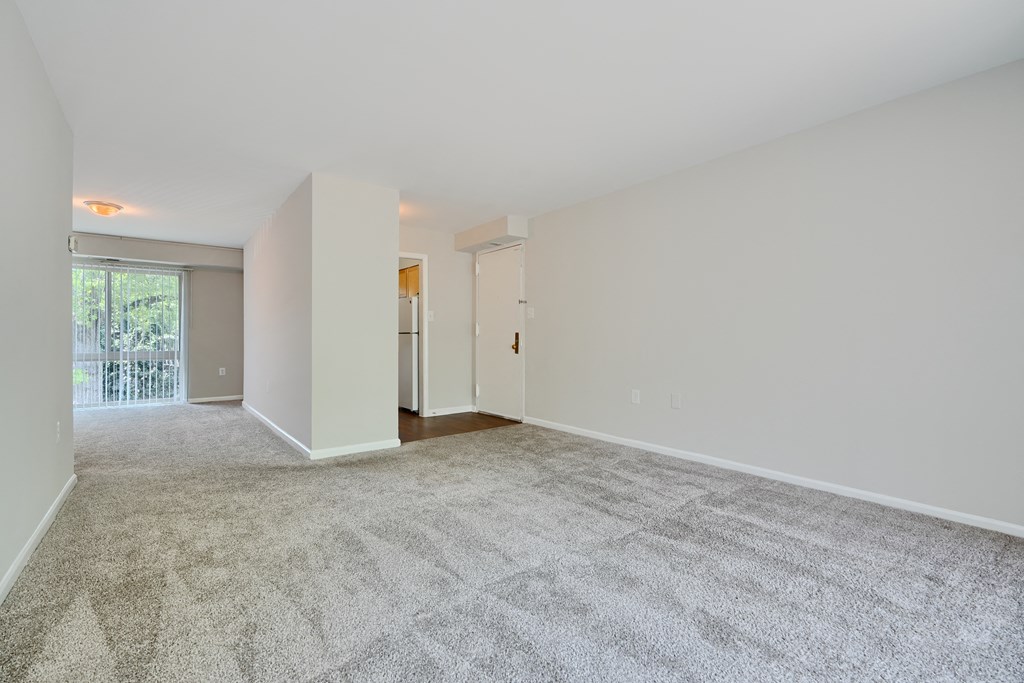 A large, empty room with a carpeted floor and white walls.