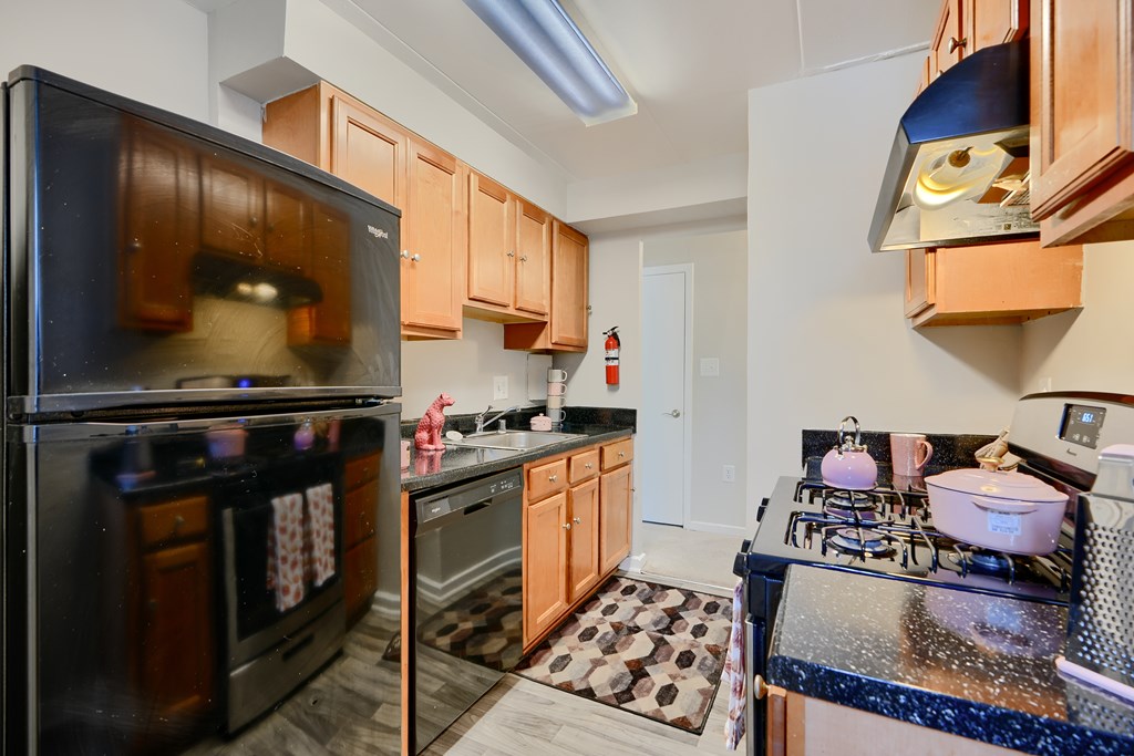 A kitchen with a black fridge, wooden cabinets, and a stove top oven.