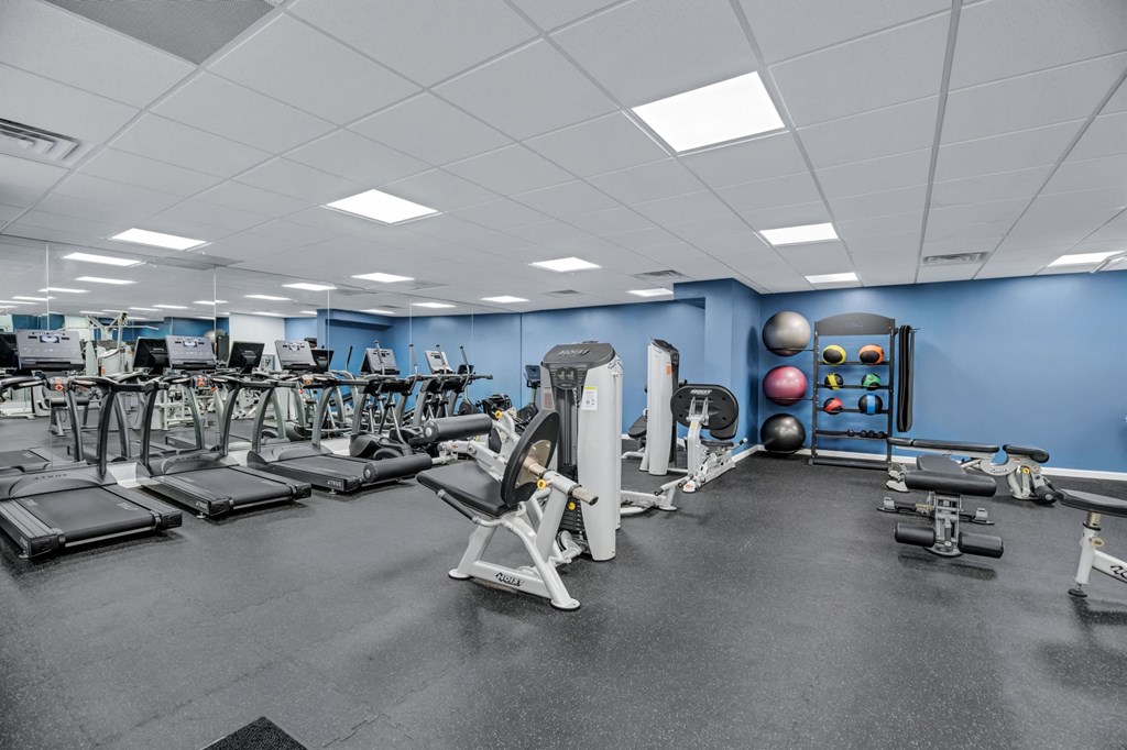 a gym with cardio equipment and weights on the floor and a blue wall