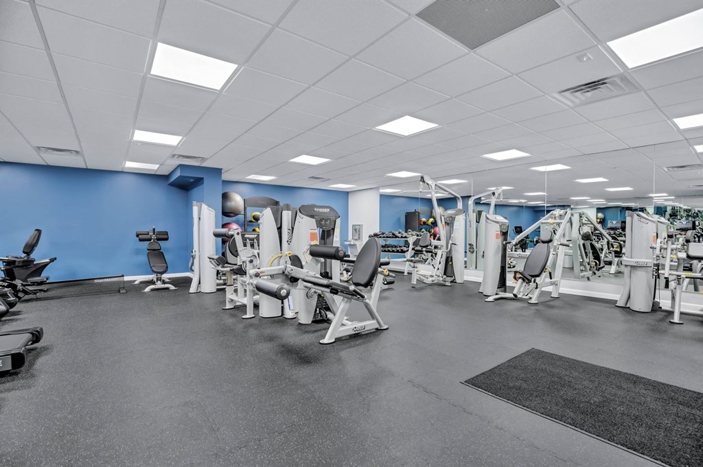 a gym with weights and cardio machines and a blue wall
