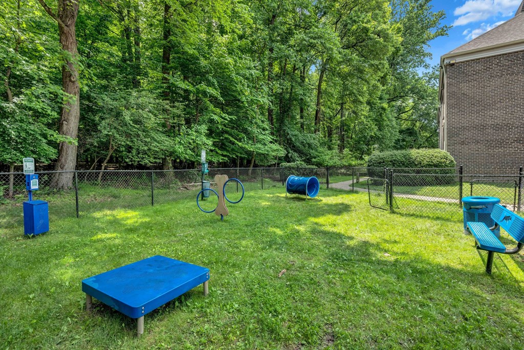 a fenced in dog park with a blue bench and trampoline