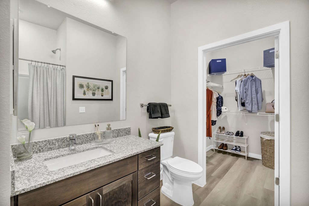 a bathroom with a mirror and a sink and a toilet