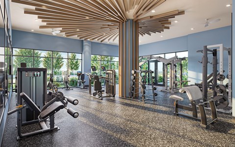 A gym with a variety of equipment including weights and cardio machines.