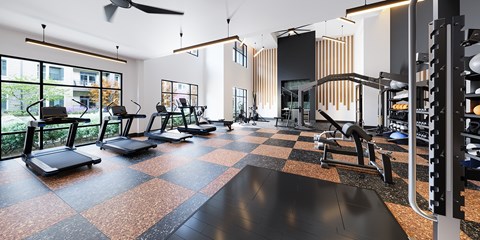 A gym with treadmills, weights and a fan.