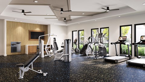 A gym with a variety of equipment including treadmills, weights, and a television.