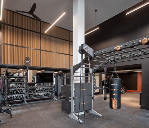 A gym with a variety of equipment including a punching bag.