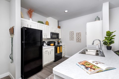 A black refrigerator is in a white kitchen with a sink and a potted plant.