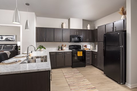 A kitchen with black cabinets and a black refrigerator.