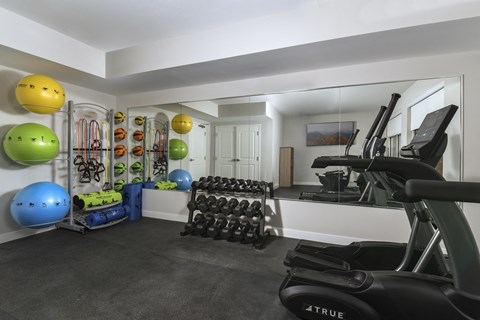 Modern fitness center featuring cardio equipment, large windows, and a bright, comfortable environment for daily workouts
