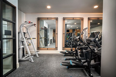A gym with a mirror, treadmill, and exercise bikes.