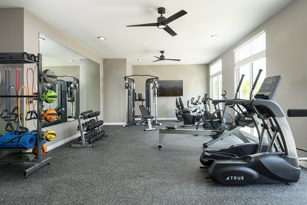 a gym with cardio machines and other exercise equipment in a home