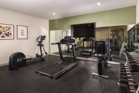Modern fitness center featuring cardio and strength-training equipment in a bright, well-equipped workout environment.