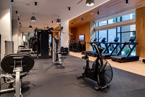 A gym with a variety of equipment including a stationary bike, treadmill, and weightlifting machines.
