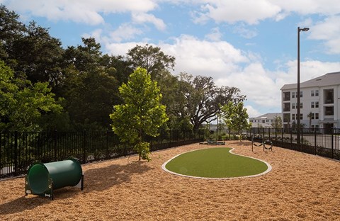 A playground with a green tree and a brown sandy area.