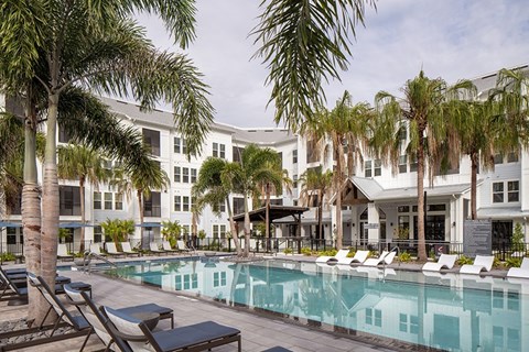 A pool surrounded by palm trees and lounge chairs.