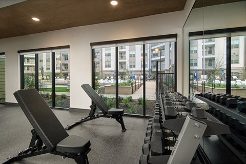 A gym with a row of treadmills and two lounge chairs.