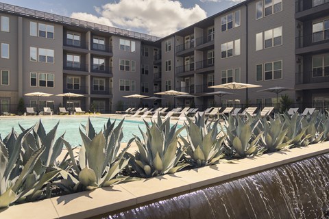 A pool surrounded by a row of agave plants.