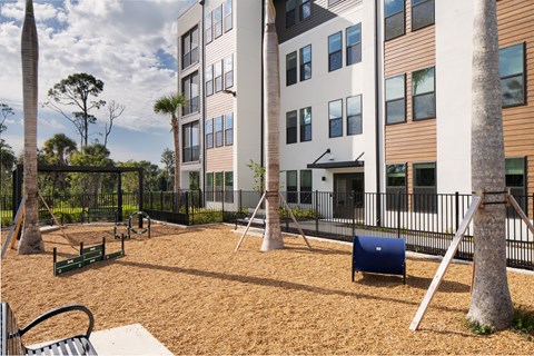 A playground area with pet obstacles
