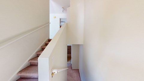 A staircase with a white railing and beige carpeted steps.