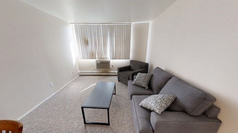 A living room with a grey couch and a black coffee table.