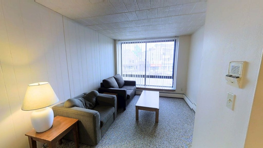 A living room with a grey couch, a white lamp, and a grey rug.