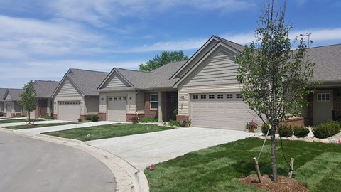 A residential area with houses and a tree.