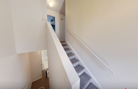 A staircase with a carpeted runner and white handrail.