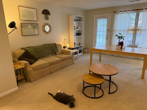 A dog is lying on the floor in a living room with a couch, coffee table, and bookshelf.