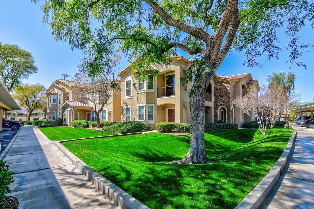 A row of houses with a tree in front of the first one.