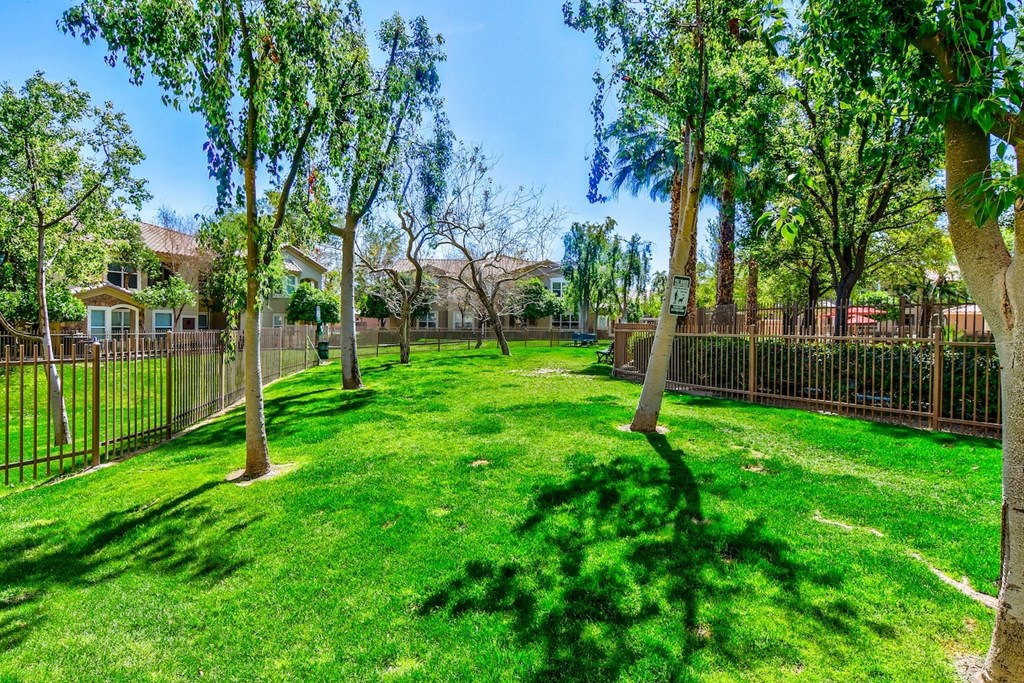 A backyard with a fence and trees.