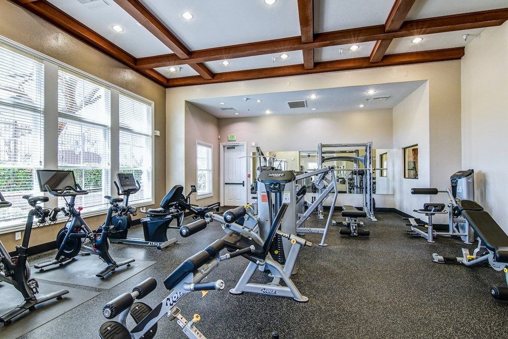 A gym with a variety of equipment including treadmills, weights, and exercise machines.
