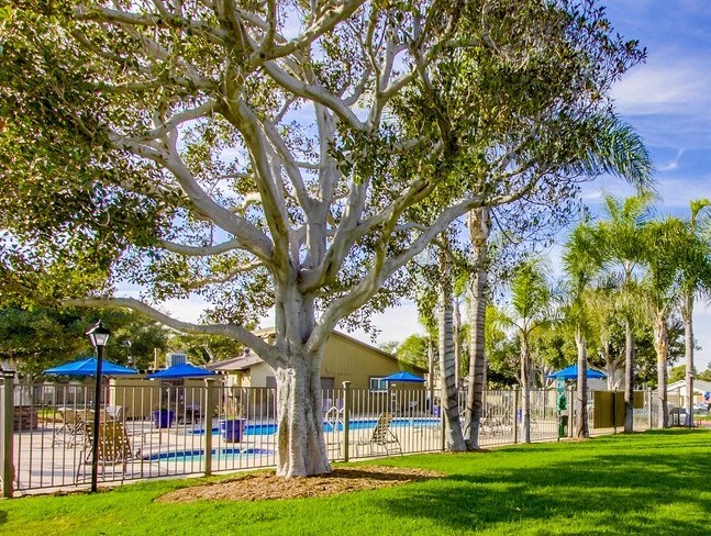 Mesa Village Apartments Exterior Pool View
