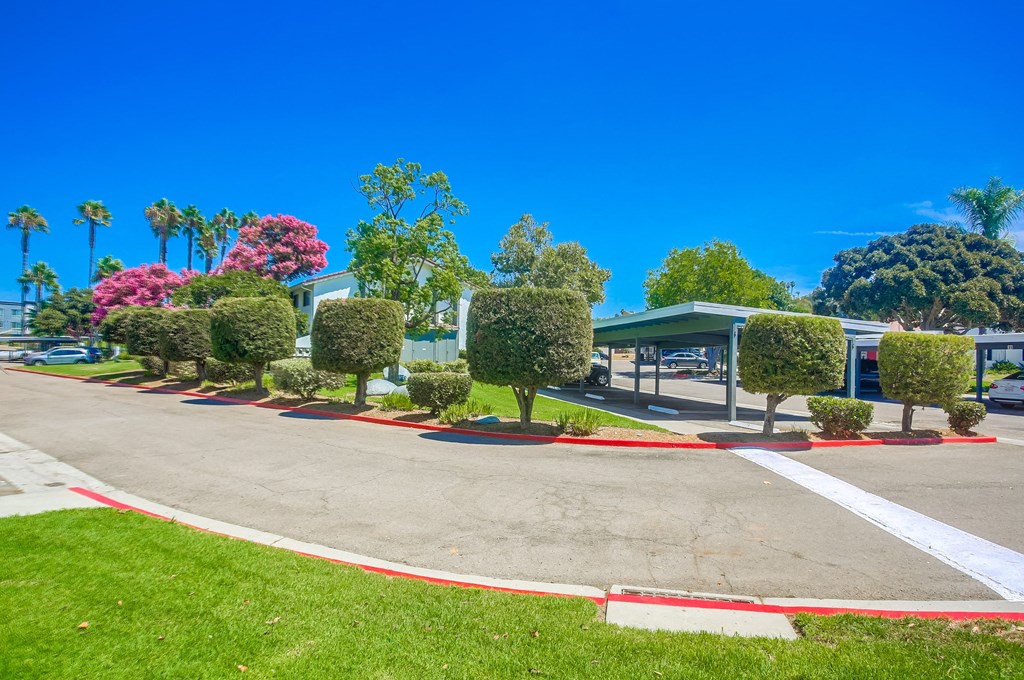 a parking lot with trees and a building in the background