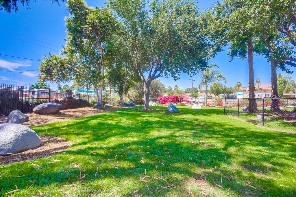 a park with grass and trees and a playground