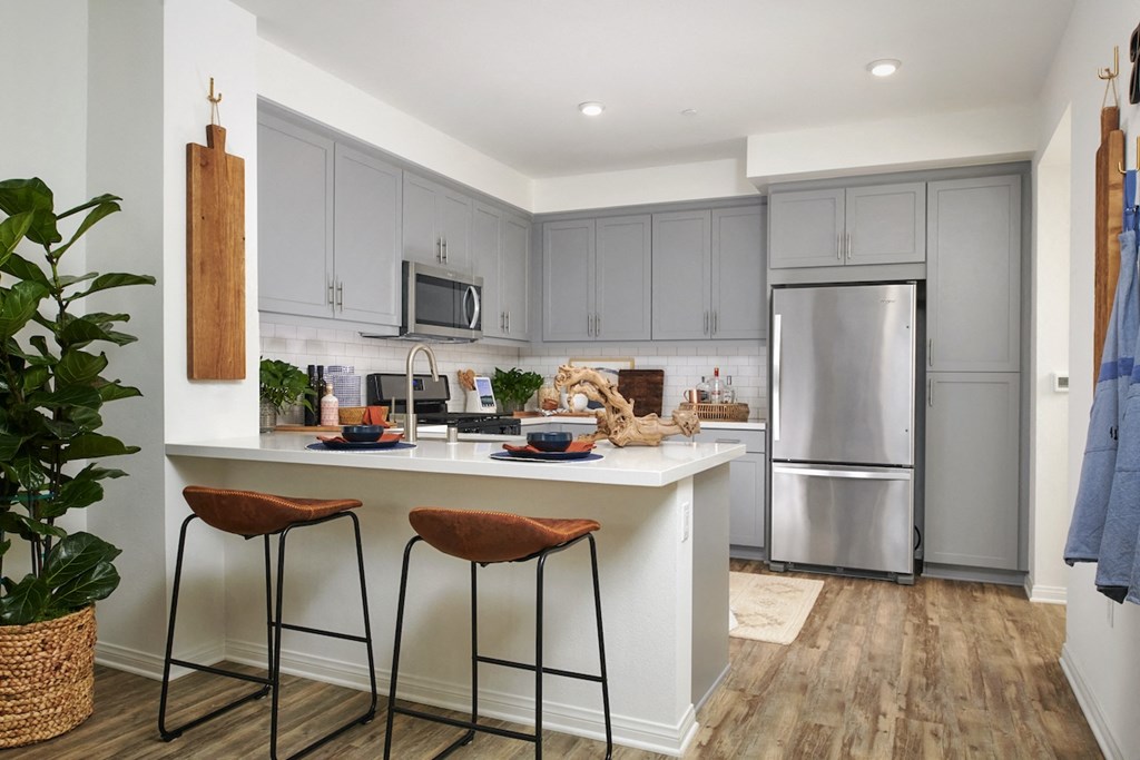 Two BR Apartments in Riverside CA - Lincoln Village - Modern Kitchen with Stainless Steel Appliances, Grey Cabinetry, White Countertops, Tile Backsplash, Stool Seating, Wood-Style Flooring, Decorative House Plant, and a Rug