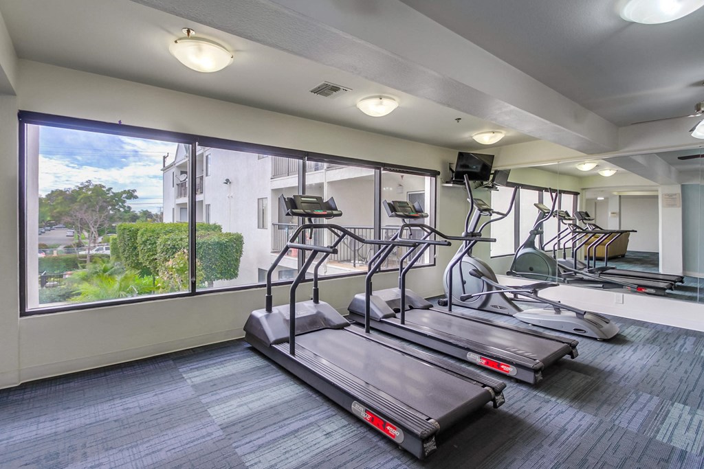 the gym at the preserve at polk apartments